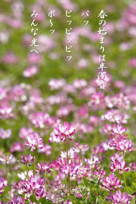 春の始まり_228921.jpg