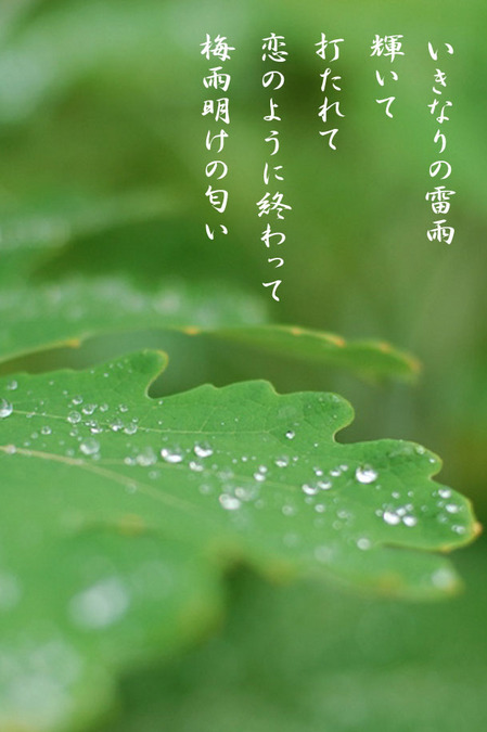 2015_08_いきなりの雷雨.jpg