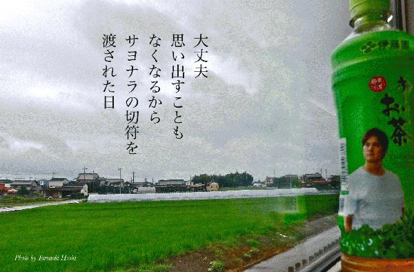 サヨナラの切符.jpg