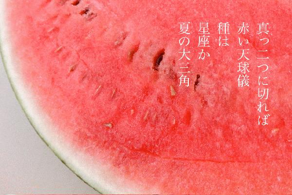 西瓜.JPG