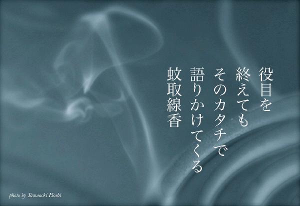 蚊取線香.JPG