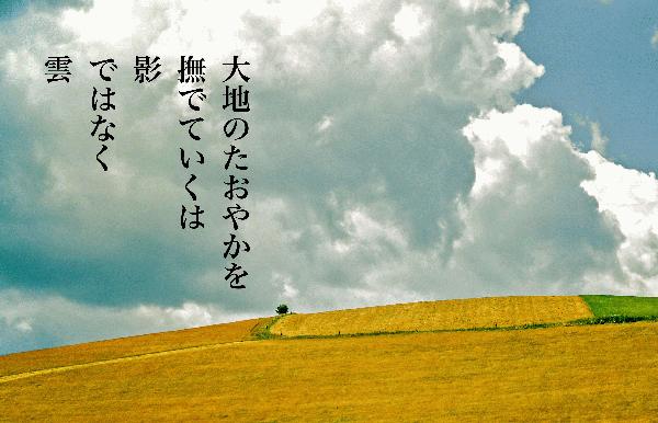 大地.JPG