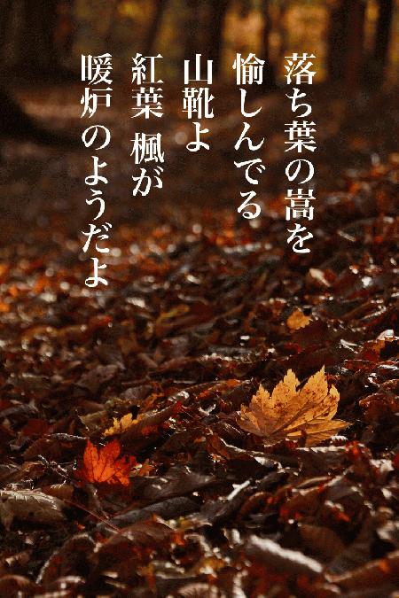 秋の山.jpg