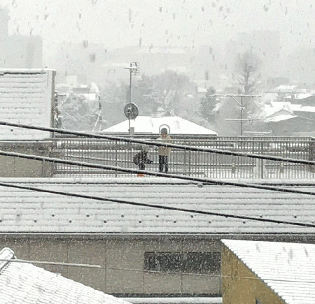 雪遊び.jp.png