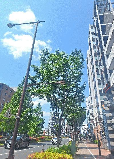 20250504_132234.jpg