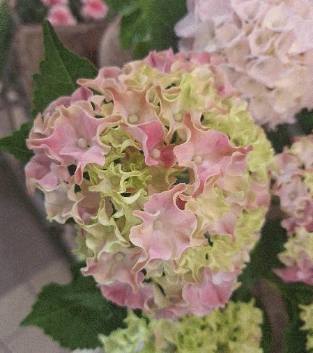 20250510_170814.jpg