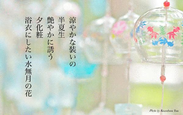 水無月の花.jpg
