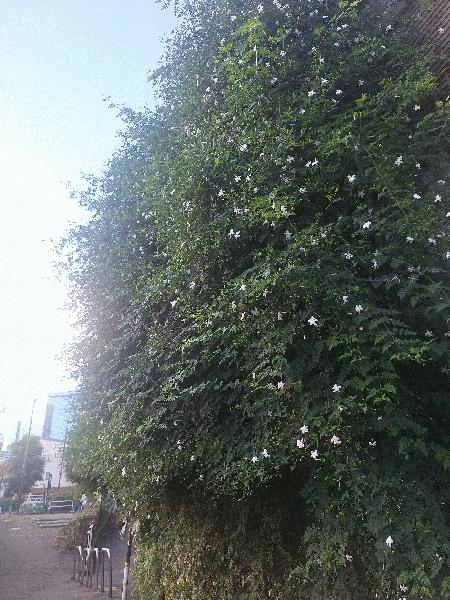 20251008_062851.jpg