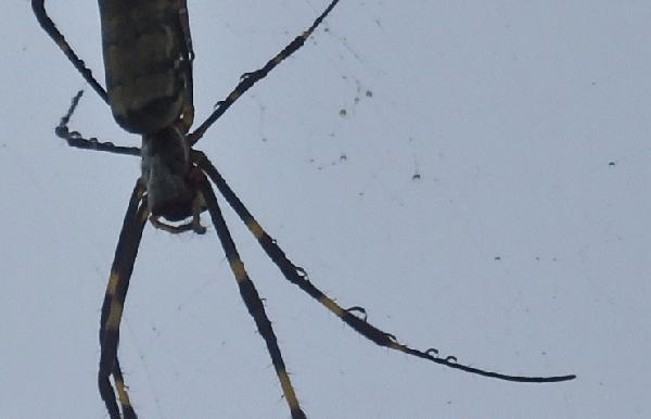 PA110698.JPG