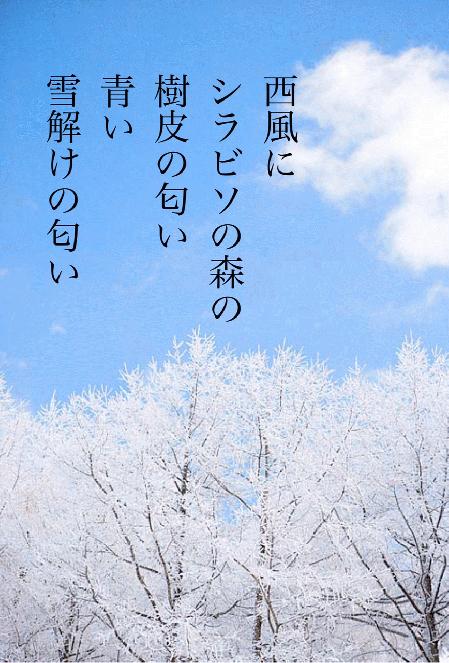 雪融けの匂い.JPG