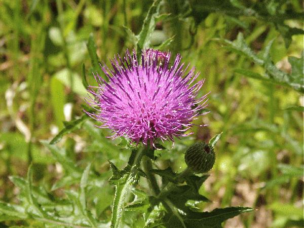 P5090030.JPG