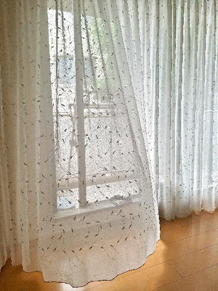 20260623_100150.jpg