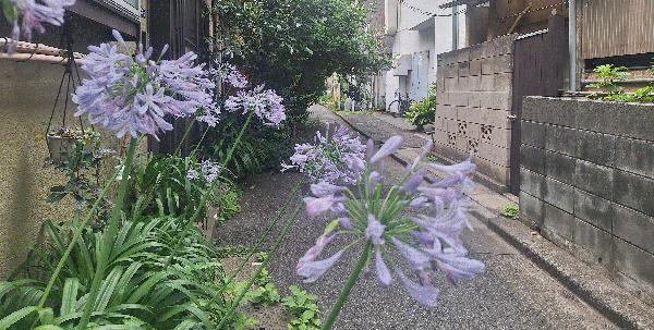 20260624_142250.jpg