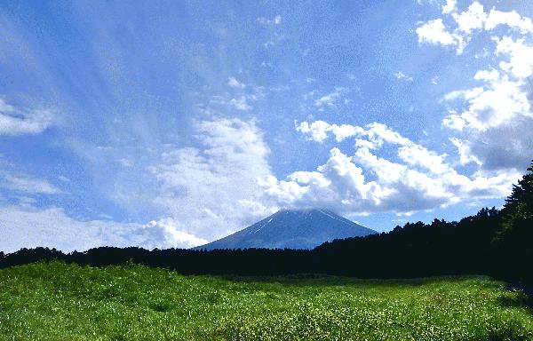 P5310100.JPG
