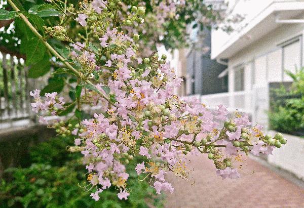 20260724_065450.jpg
